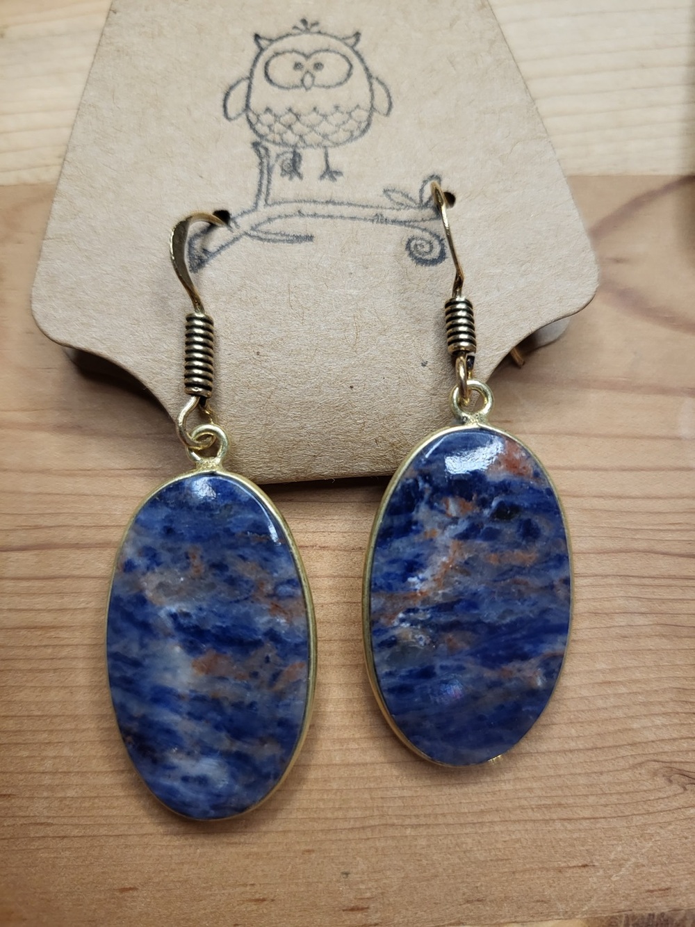 Blue Natural Stone Oval Drop Earrings - Unbranded